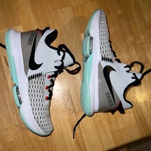 Nike Lebron Witness 5
